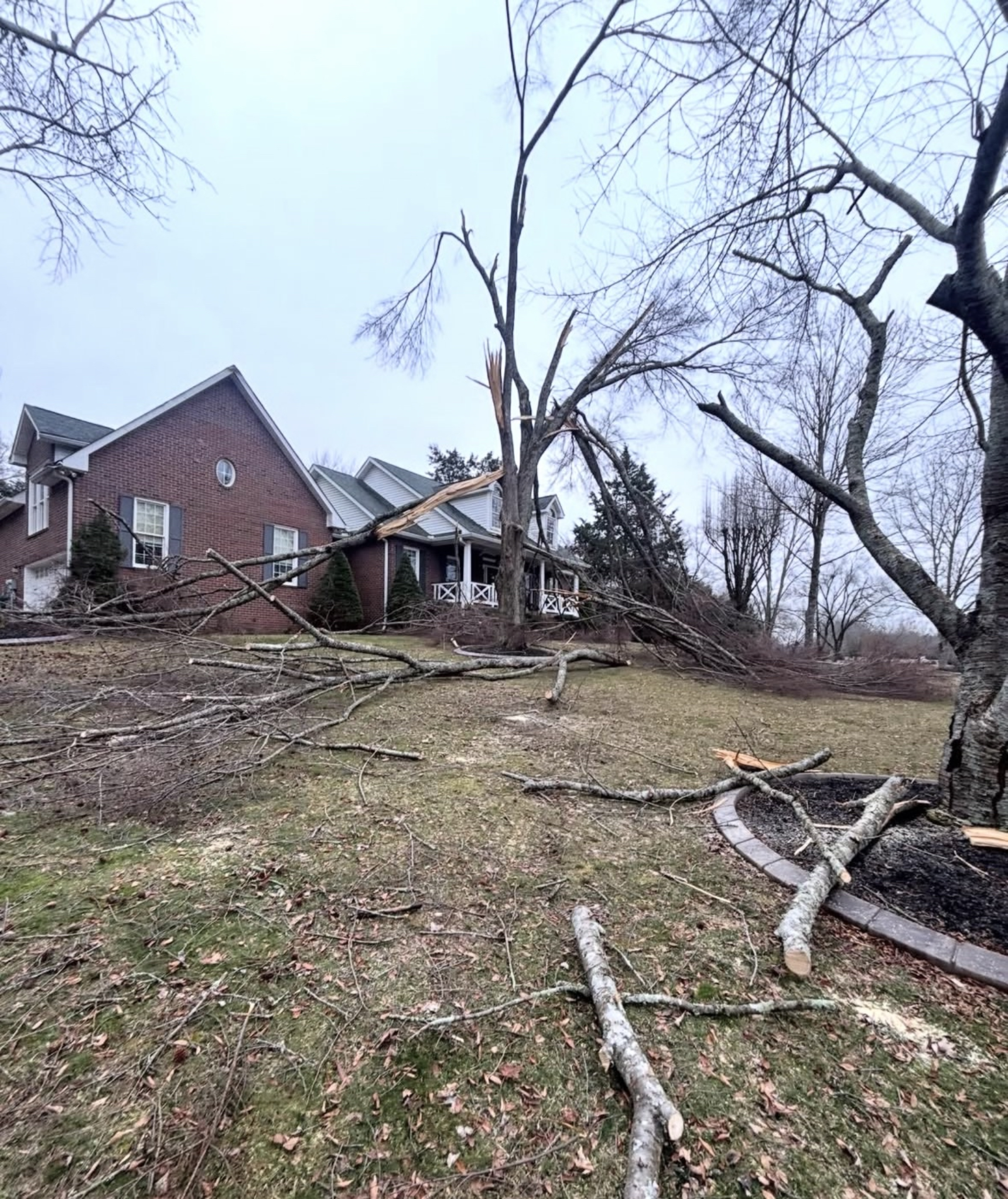 Cleanup before photo 1